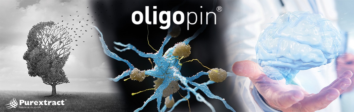 oligopin & Alzheimer